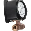1/2" NPT Port RCM Industries Flo-Gage Flowmeter