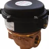 100 psi, Brass Housing, Adjustable Paddle Flow Switch