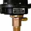 300 psi, Brass Housing, Adjustable Paddle Flow Switch