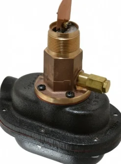 1,000 psi, Brass Housing, General Purpose Flow Switch