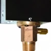 1,000 psi, Stainless Steel Housing, Adjustable Paddle Flow Switch