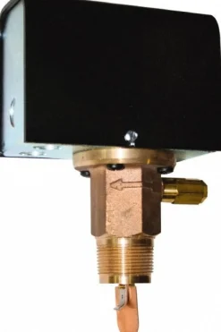 1,000 psi, Stainless Steel Housing, Adjustable Paddle Flow Switch