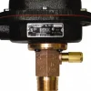 1,000 psi, Stainless Steel Housing, Adjustable Paddle Flow Switch