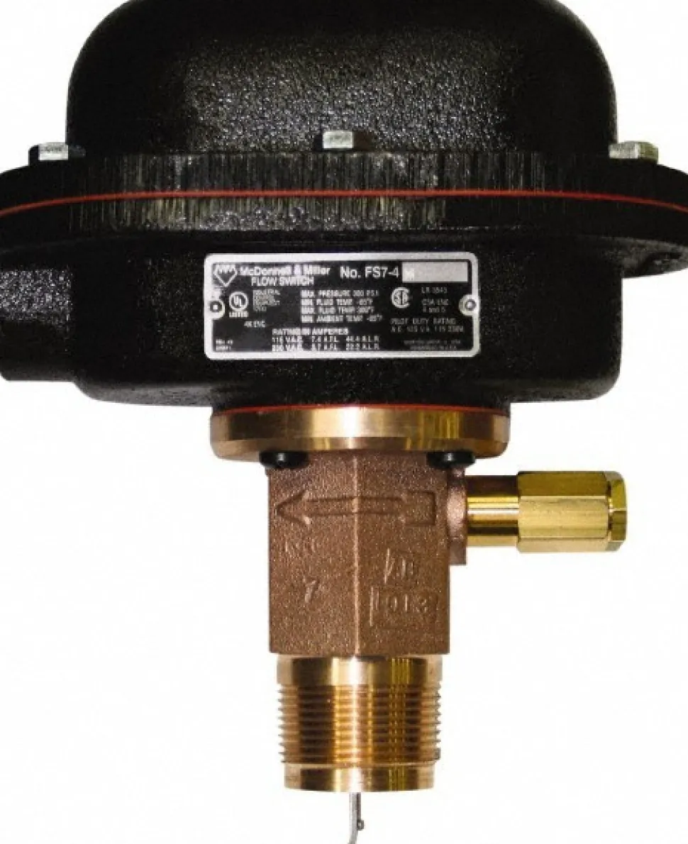 1,000 psi, Stainless Steel Housing, Adjustable Paddle Flow Switch