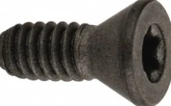 Cap Screw for Indexables: T6 Torx®, M2 x 0.4 Thread