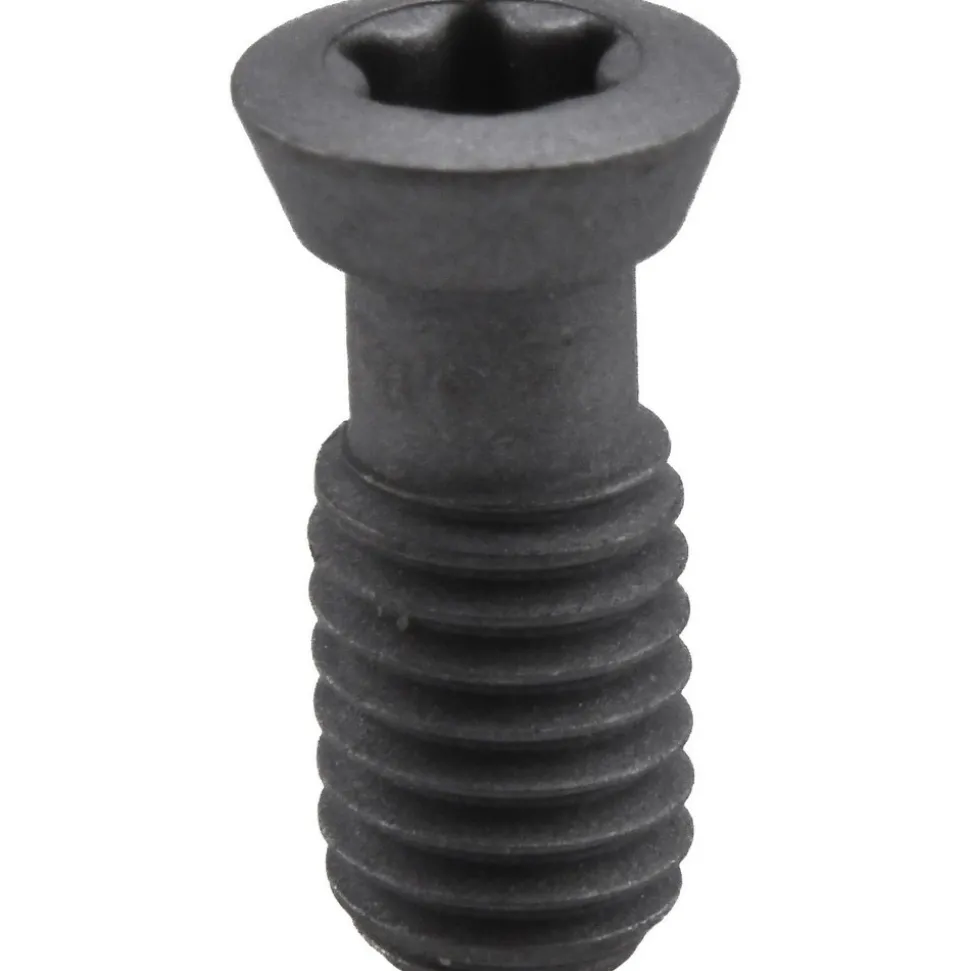 Cap Screw for Indexables: T20 Torx®, M5 x 0.8 Thread