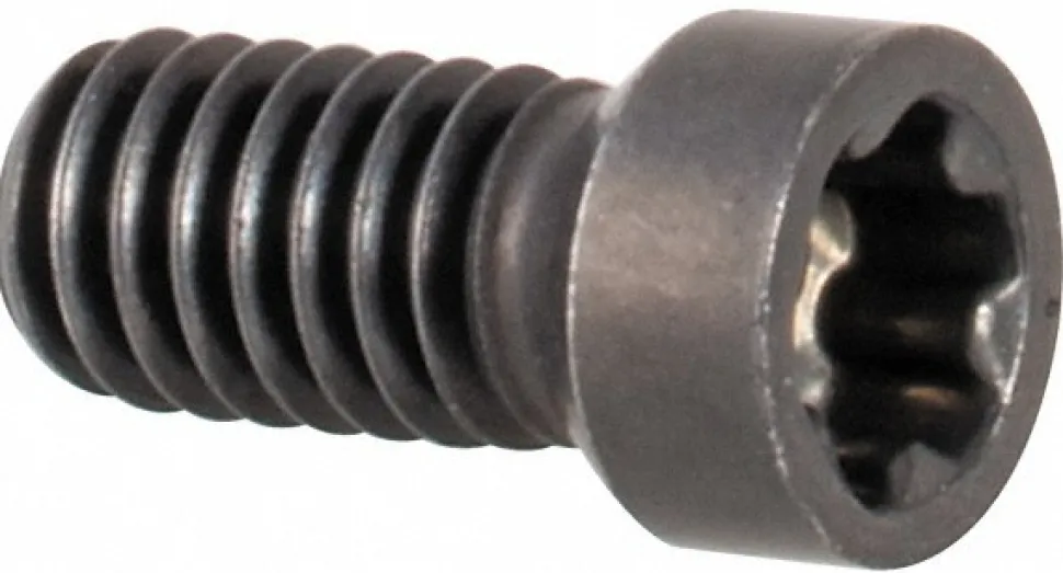 Clamp Screw for Indexables: TP8 Torx® Plus, M2.5 Thread