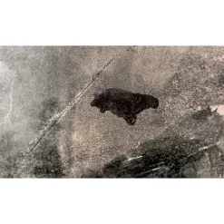 400°F Temp Indicating Liquid