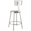 24 Inch High, Stationary Fixed Height Stool with Adjustable Height Back