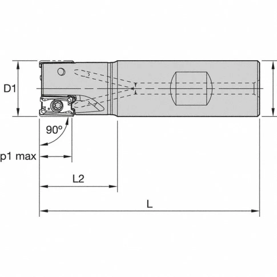 Indexable Square-Shoulder End Mill: M4D100L1103W100L175, 1" Cut Dia, 11 mm Max Depth of Cut, 1" Dia Weldon Flat Shank