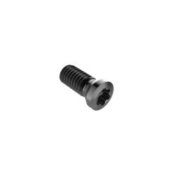 Insert Screw for Indexables: T15P Torx® Plus, M4 Thread