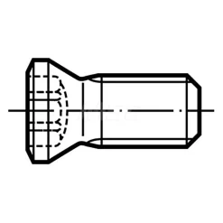 Insert Screw for Indexables: T15IP Torx®