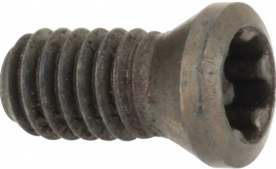 Lock Screw for Indexables: T08P Torx® Plus, M2.5 Thread
