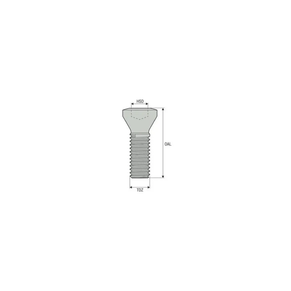 Lock Screw for Indexables: T08P Torx® Plus, M2.5 Thread