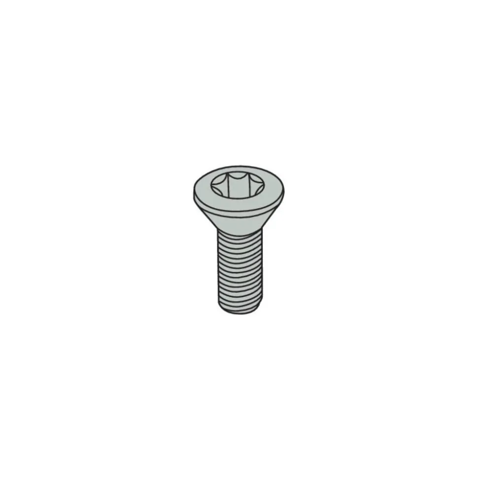 Lock Screw for Indexables: T08P Torx® Plus, M2.5 Thread