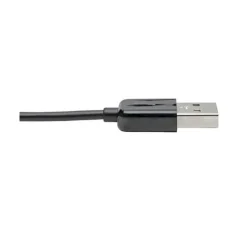 Network Adapter