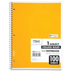 Notebook: 100 Sheets, 8-1/2 x 11