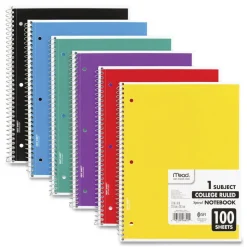 Notebook: 100 Sheets, 8-1/2 x 11