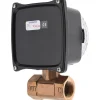 1" NPT Port RCM Industries Flo-Gage Flowmeter