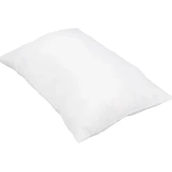 Pillow with Pillow Cover