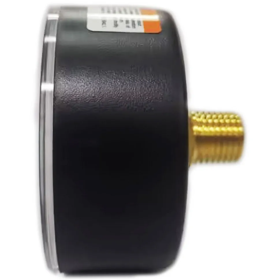 Pressure Gauge: 2-1/2" Dial, 100 psi, 1/4" Thread, NPT, Center Back Mount