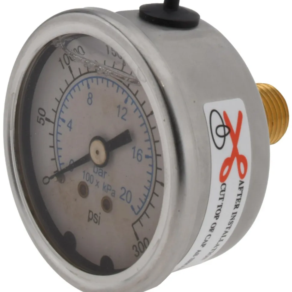 Pressure Gauge: 2" Dial, 300 psi, 1/4" Thread, NPT, Center Back Mount