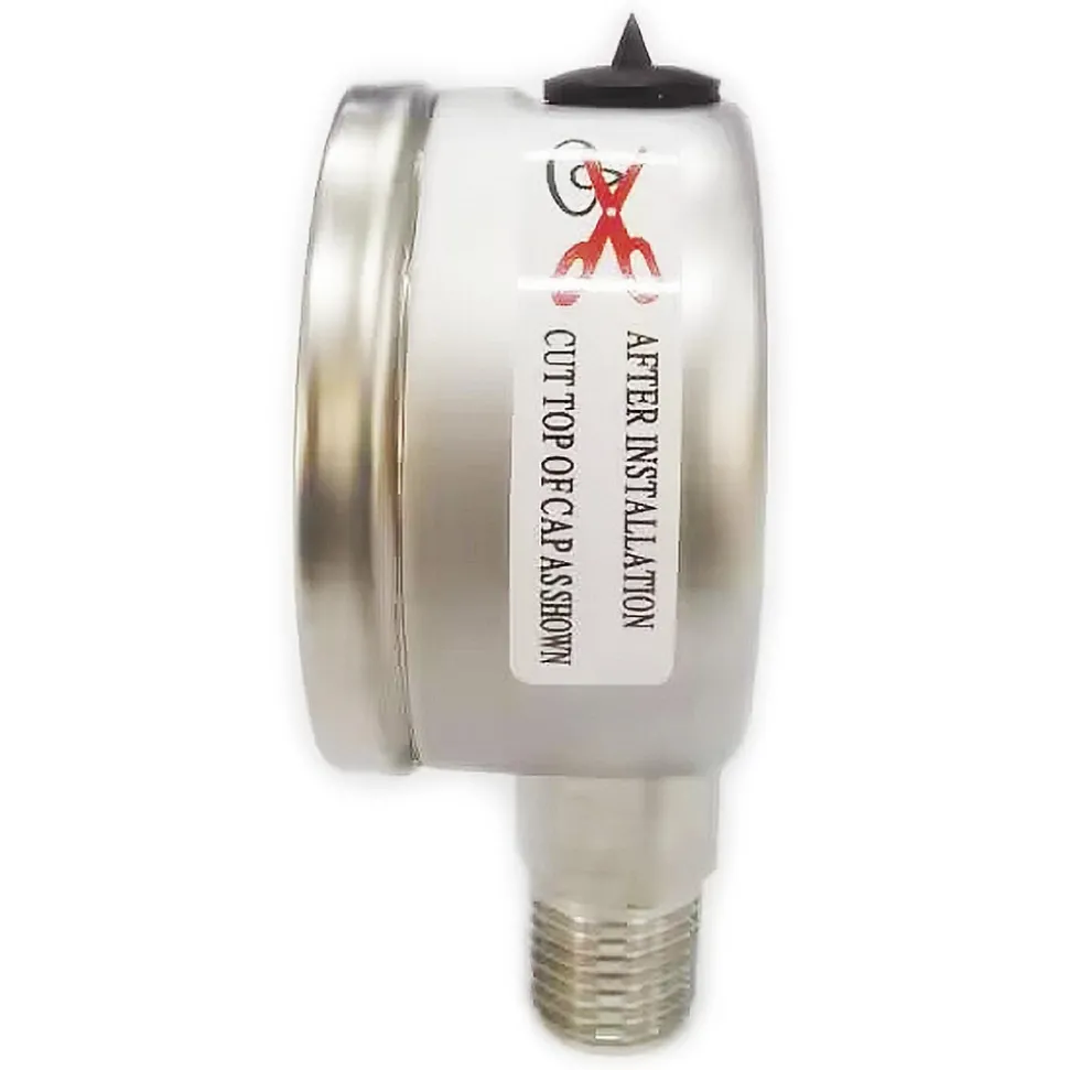 Pressure Gauge: 2" Dial, 100 psi, 1/4" Thread, NPT, Lower Mount