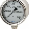 Pressure Gauge: 2-1/2" Dial, 1/4" Thread, Lower Mount