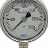 Pressure Gauge: 2-1/2" Dial, 0 to 3,000 psi, 1/4" Thread, NPT, Lower Mount