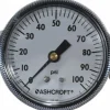 Pressure Gauge: 2-1/2" Dial, 0 to 100 psi, 1/4" Thread, NPT, Center Back Mount