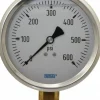 Pressure Gauge: 4" Dial, 0 to 600 psi, 1/4" Thread, NPT, Lower Mount