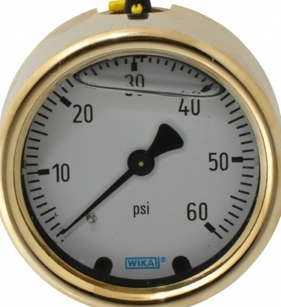 Pressure Gauge: 2-1/2" Dial, 0 to 60 psi, 1/4" Thread, NPT, Back Mount