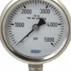 Pressure Gauge: 2-1/2" Dial, 0 to 5,000 psi, 1/4" Thread, NPT, Lower Mount