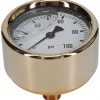 Pressure Gauge: 2-1/2" Dial, 0 to 100 psi, 1/4" Thread, NPT, Back Mount