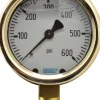 Pressure Gauge: 2-1/2" Dial, 0 to 600 psi, 1/4" Thread, NPT, Lower Mount