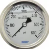 Pressure Gauge: 2-1/2" Dial, 0 to 600 psi, 1/4" Thread, NPT, Center Back Mount