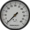 Pressure Gauge: 3-1/2" Dial, 0 to 60 psi, 1/4" Thread, NPT, Center Back Mount