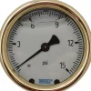 Pressure Gauge: 2-1/2" Dial, 0 to 15 psi, 1/4" Thread, NPT, Back Mount