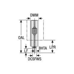 Replaceable Tip Milling Shank: Series Minimaster, 30 mm Projection, 3/4