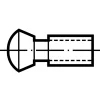 Screw for Indexables: Torx® Plus Drive